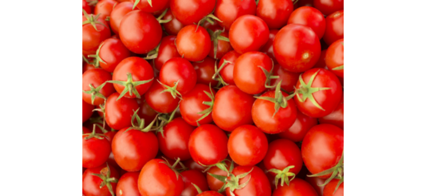 Eat your Tomatoes Eat your Tomatoes